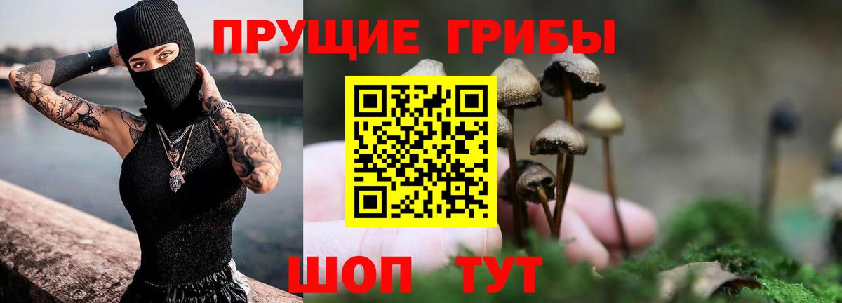Псилоцибиновые грибы прущие грибы  Вход с VPN  Псилоцибиновые грибы MAGIC MUSHROOMS  Кировск 